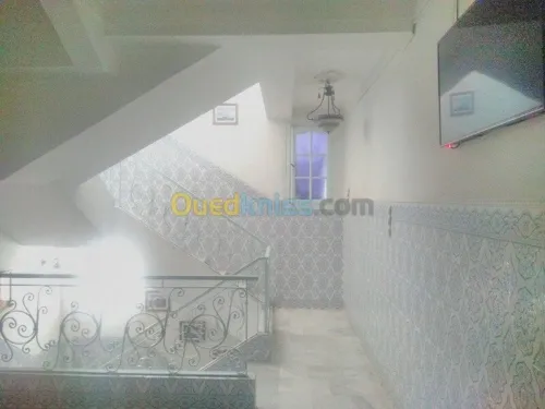 Vente Appartement F4 Chlef Chlef