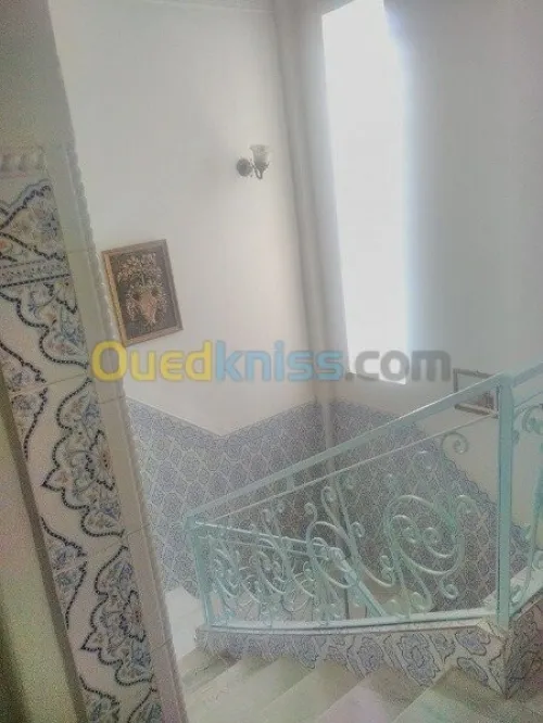 Vente Appartement F4 Chlef Chlef