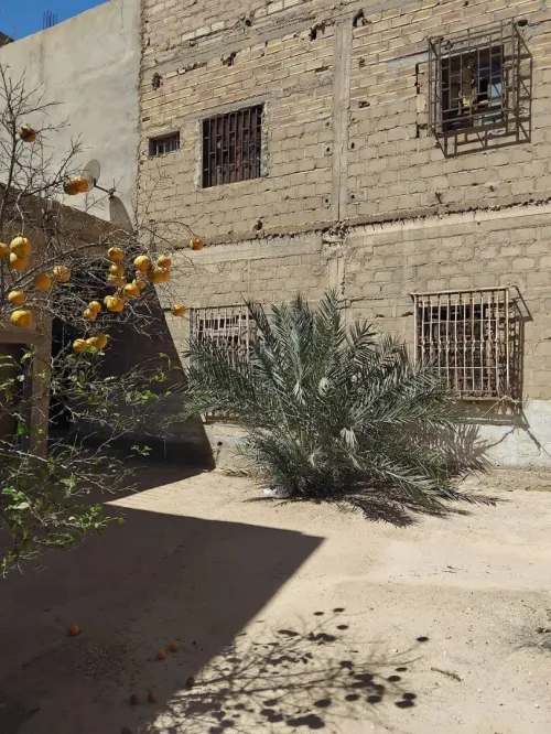 Vente Villa Biskra Tolga