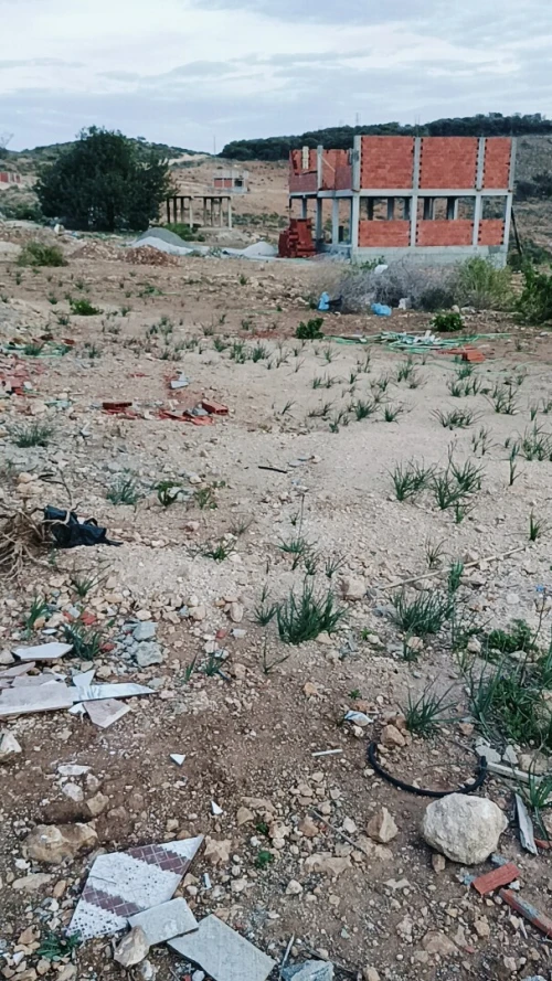 Vente Terrain Tlemcen Marsa ben mhidi