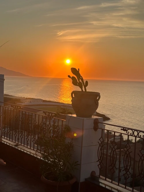 Vente Appartement F4 Tipaza Ain tagourait