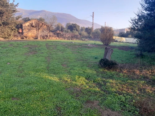 Vente Terrain Mila Chigara