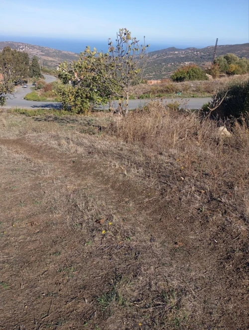 Vente Terrain Boumerdès Afir