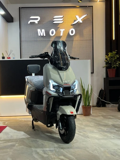 Rex Neon 2025