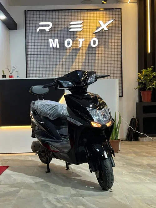 Rex SL 2025