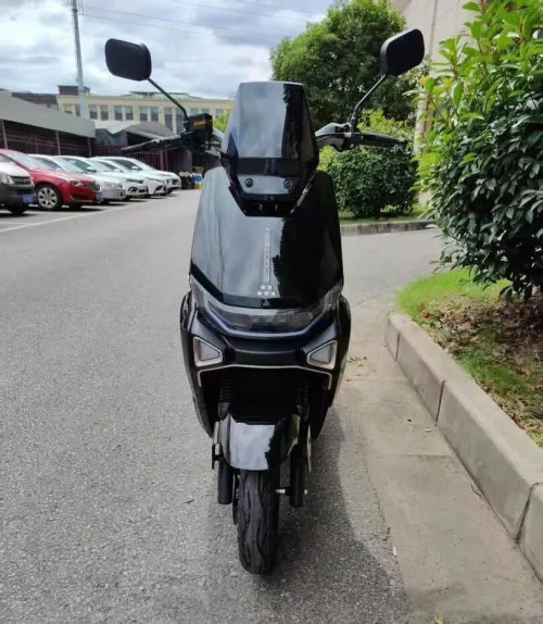 Rex Nova 2025