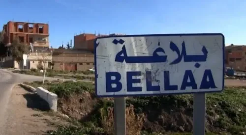 Vente Terrain Agricole Sétif Belaa
