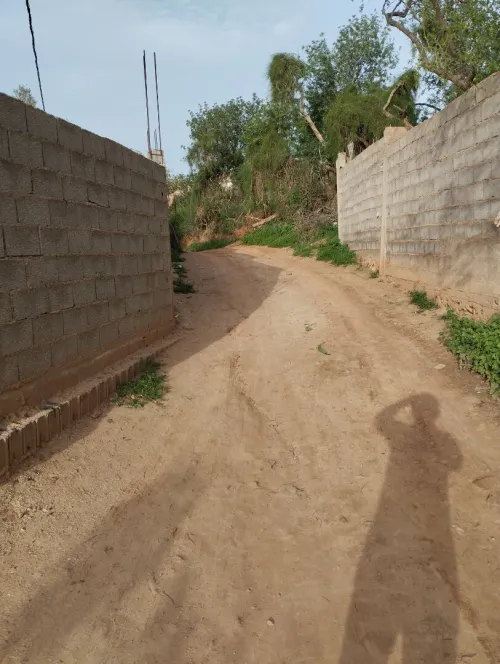 Vente Terrain Tlemcen Tlemcen