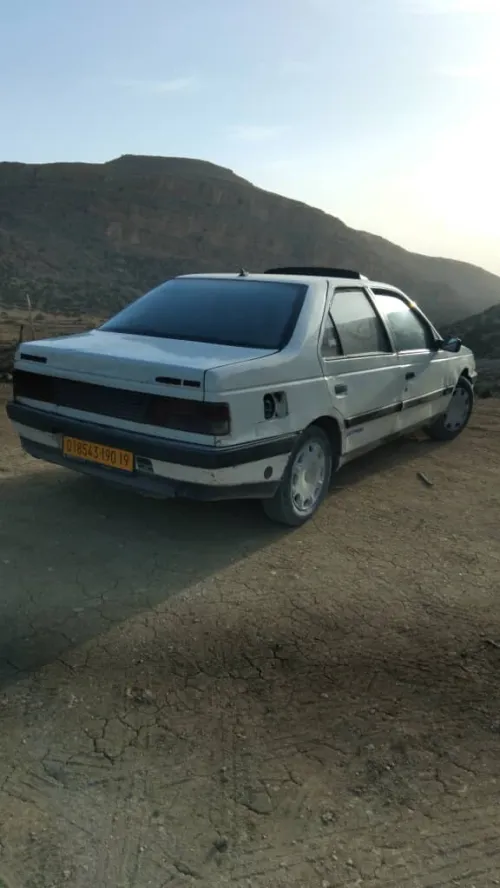 Peugeot 405 1990 405