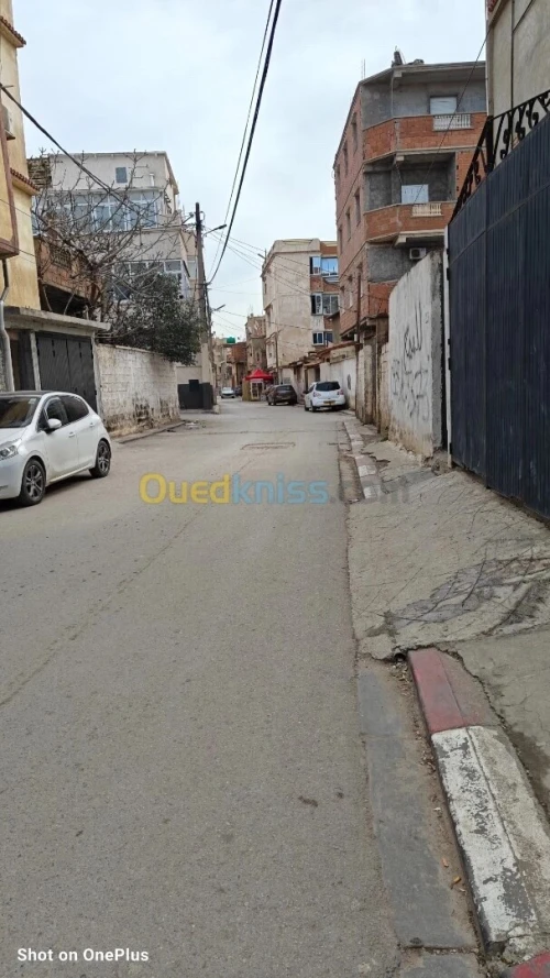 Vente Terrain Alger Bordj el kiffan