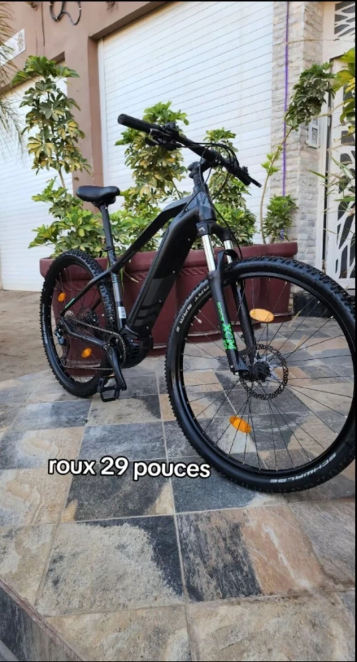 Vélo électrique Morrison 29 taille L