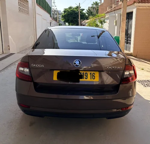Skoda Octavia 2019 Octavia