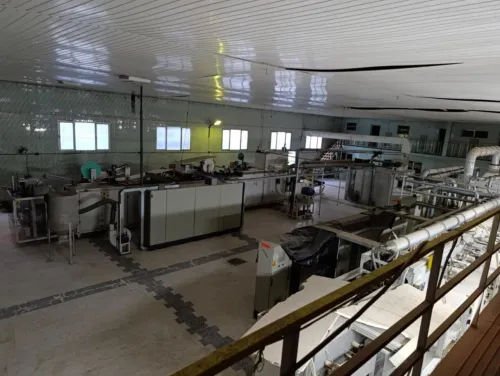 Vente Hangar - Usine Sétif Setif