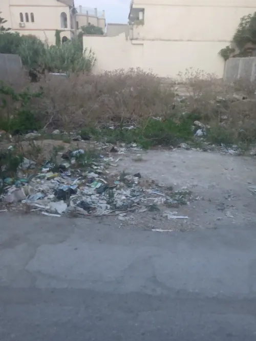 Vente Terrain Blida Meftah