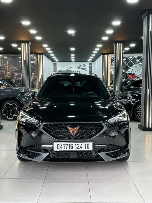 Seat Cupra formentor 2024 FR beats