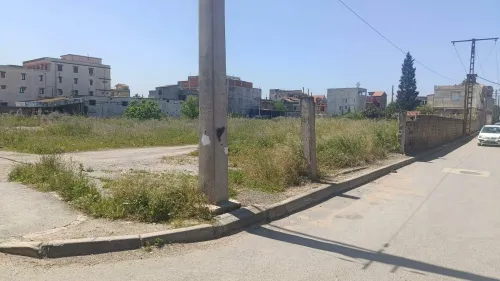 Vente Terrain Alger Rouiba