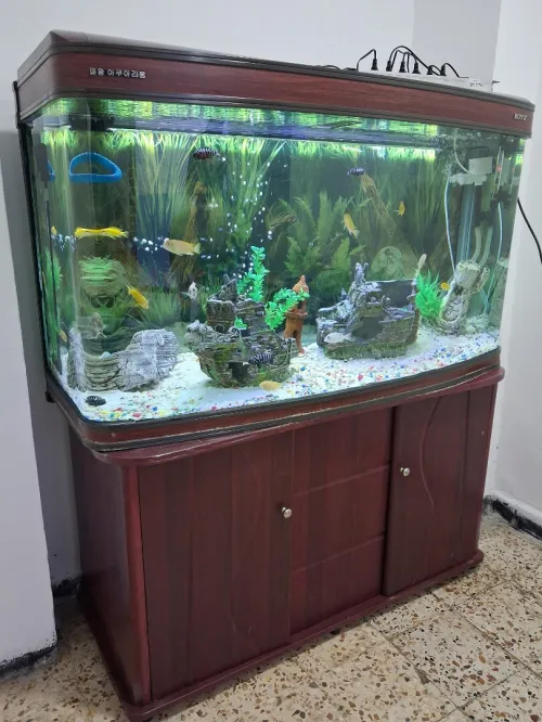 Aquarium d'importation 1,2 mètre
