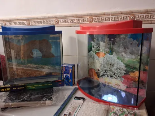 Aquarium 40cm avec couvercle et poster
