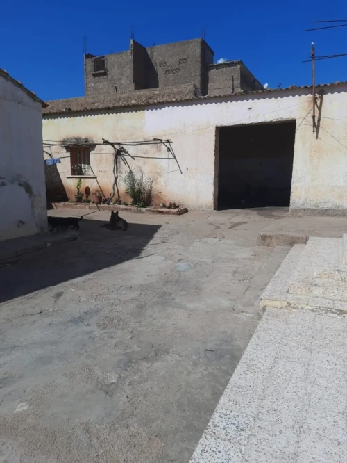 Vente bien immobilier Oran Hassi mefsoukh