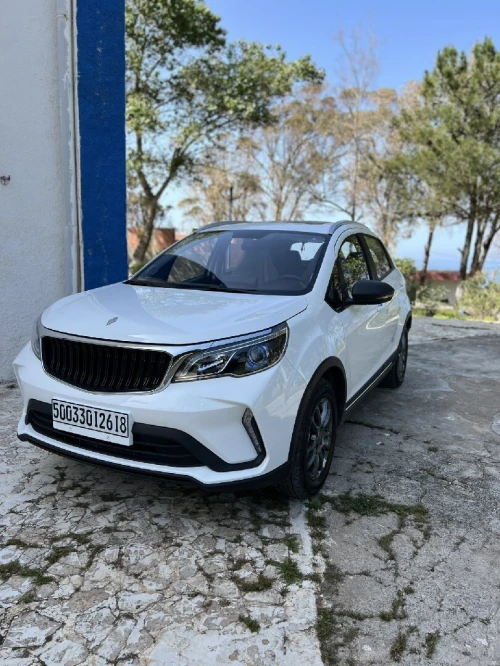 Livan X3 Pro  2026 Automatique (Avec toi ouvrant )