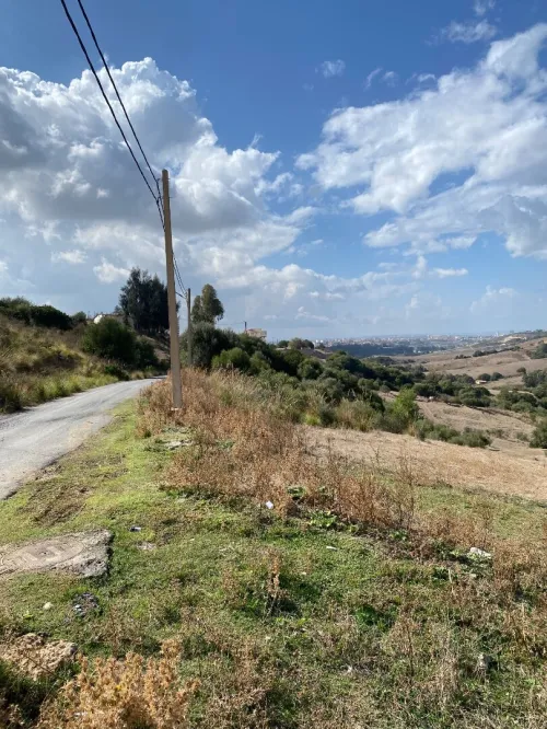 Vente Terrain Boumerdès Zemmouri