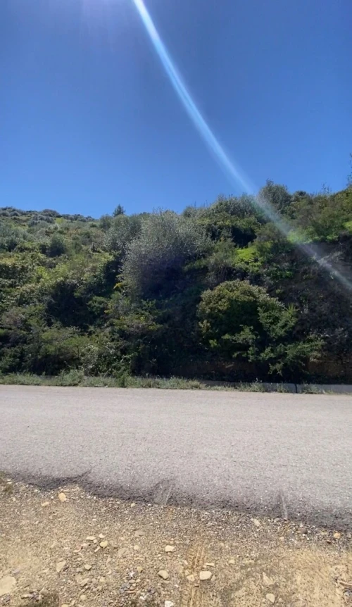 Vente Terrain Boumerdès Ammal