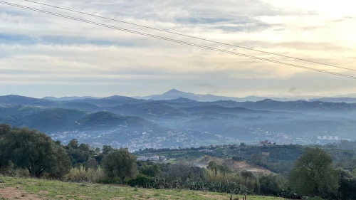 Vente Terrain Boumerdès Zemmouri