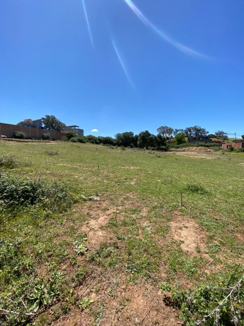 Vente Terrain Boumerdès Zemmouri