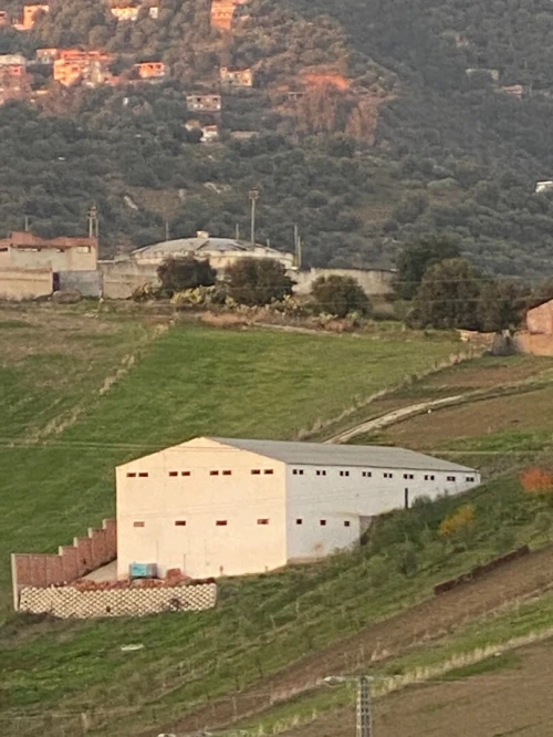Cherche achat Hangar - Usine Bordj Bou Arreridj Bordj bou arreridj