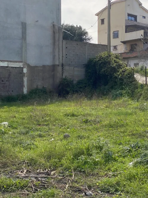 Vente Terrain Boumerdès Thenia