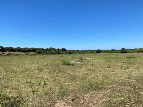 Vente Terrain Boumerdès Zemmouri