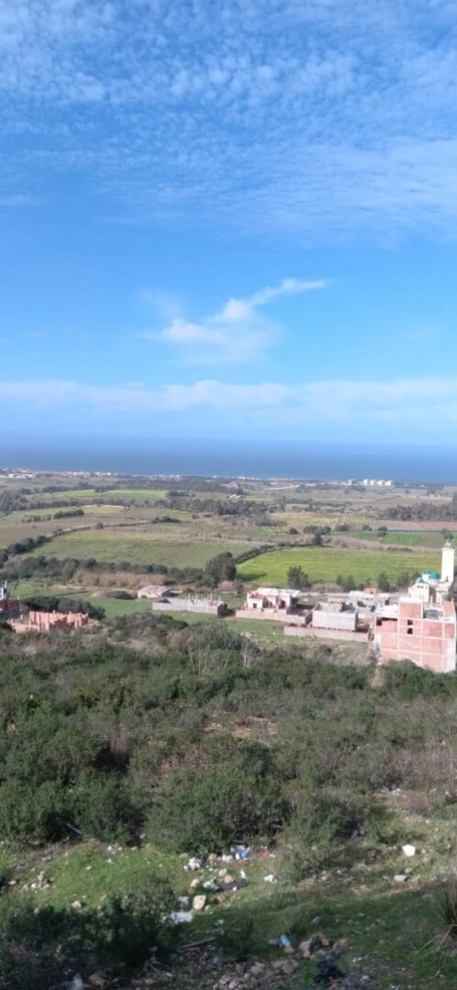 Vente Terrain Boumerdès Zemmouri