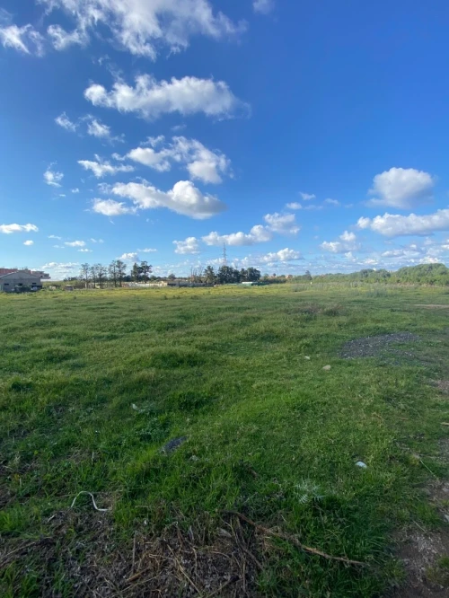 Vente Terrain Boumerdès Djinet