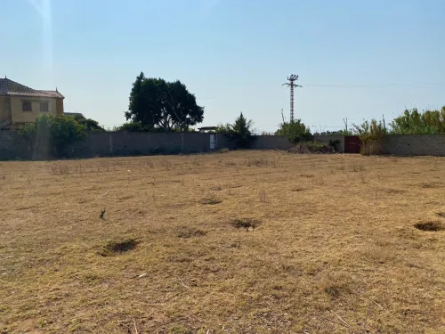 Vente Terrain Boumerdès Zemmouri