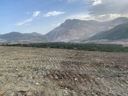 Vente Terrain Boumerdès Keddara