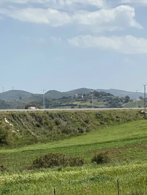 Location Terrain Boumerdès Ouled moussa