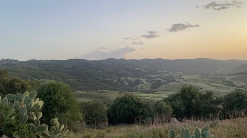 Vente Terrain Boumerdès Zemmouri