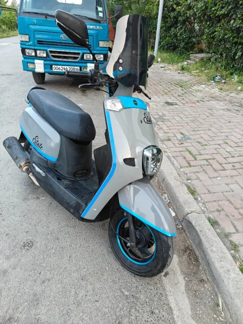 Vms Estate 2022
