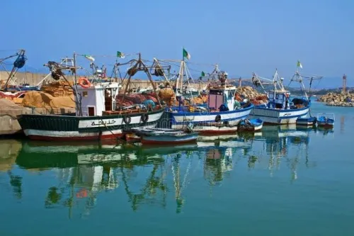 Bateaux 