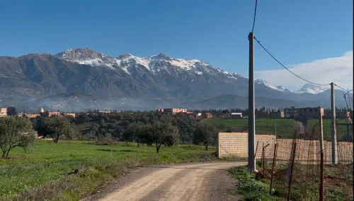 Vente Terrain Bouira Taghzout