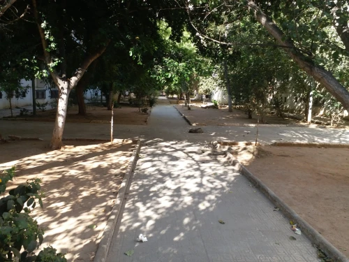 Location Appartement F3 Alger Bab ezzouar
