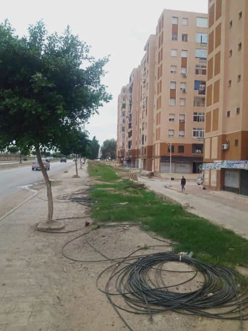 Vente Local Alger Reghaia