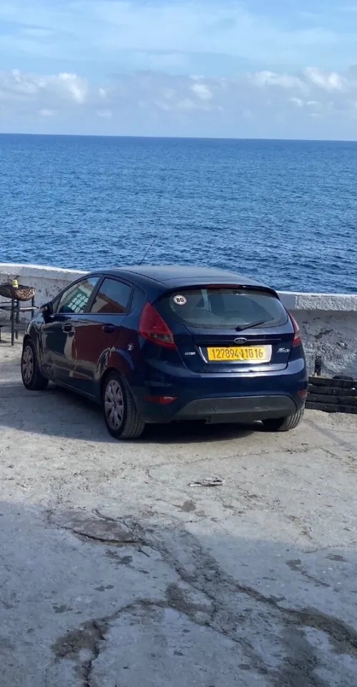 Ford Fiesta 2010 