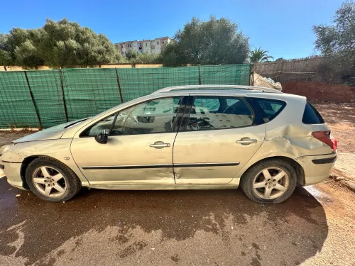 Peugeot 407 SW 2007 407 SW