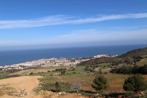 Vente Terrain Tipaza Cherchell