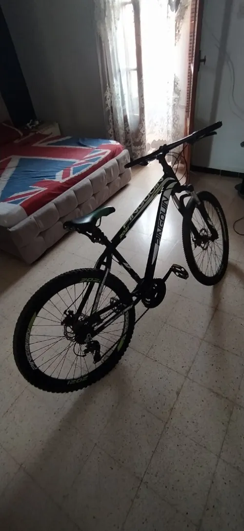 Vends Velo
