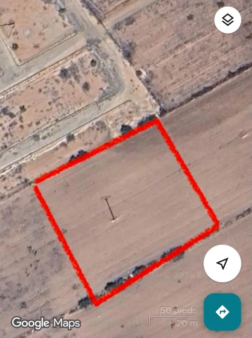 Vente Terrain Tlemcen Zenata