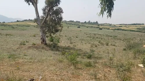 Vente Terrain Agricole Boumerdes Keddara