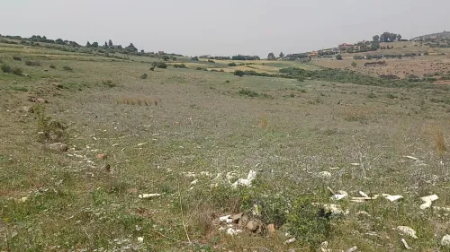 Vente Terrain Agricole Boumerdes Keddara