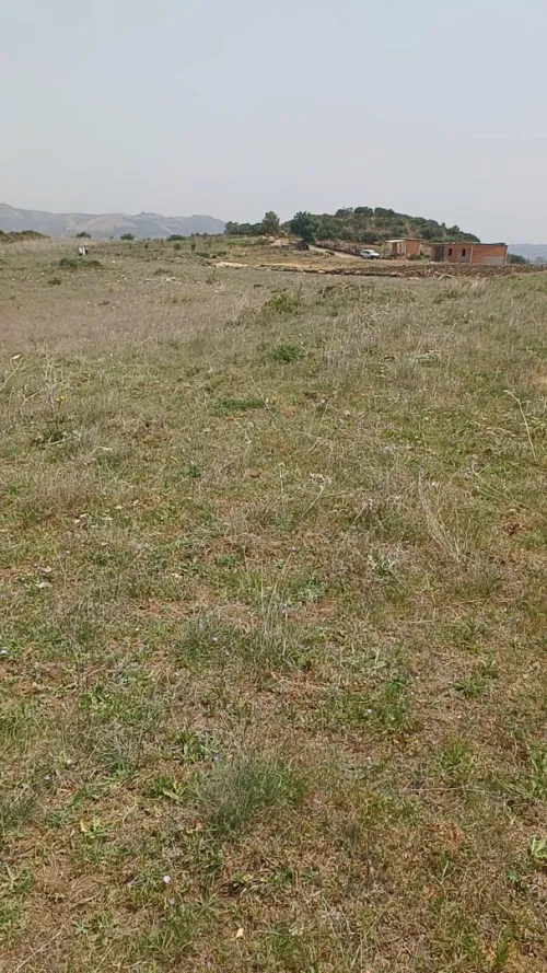 Vente Terrain Agricole Boumerdes Keddara